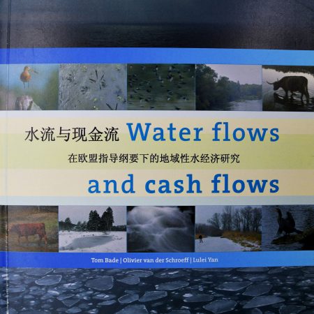 Water flows and cash flows