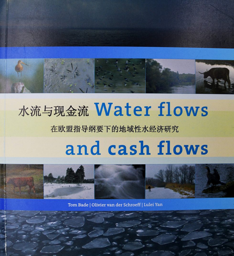 Water flows and cash flows