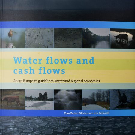 Water flows and cash flows