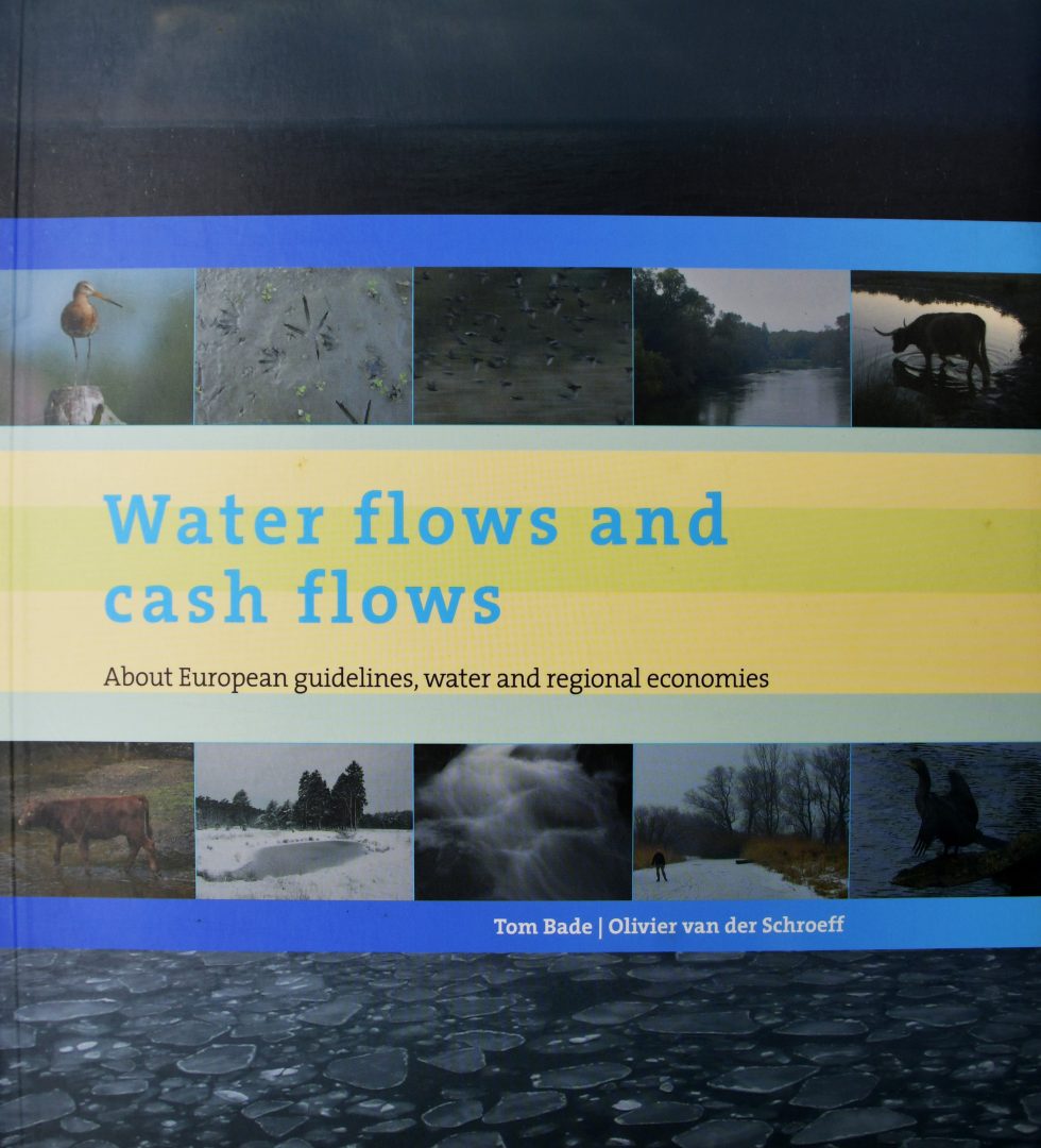 Water flows and cash flows